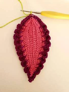 Coleus Plant visual from source page 15