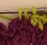 Coleus Plant visual from source page 16