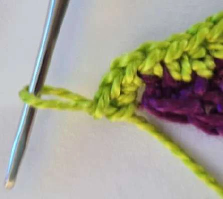 Coleus Plant visual from source page 23