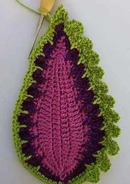 Coleus Plant visual from source page 18