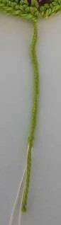 Coleus Plant visual from source page 18