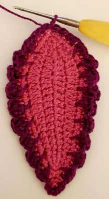 Coleus Plant visual from source page 21