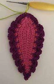 Coleus Plant visual from source page 22