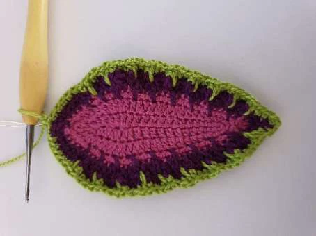 Coleus Plant visual from source page 23