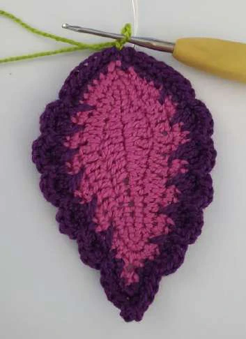 Coleus Plant visual from source page 28