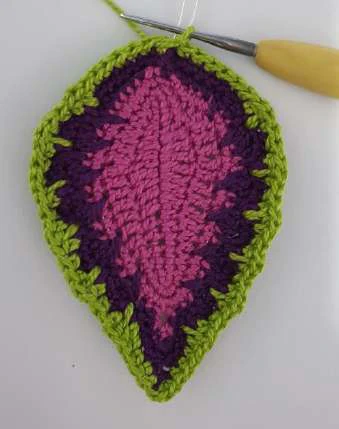 Coleus Plant visual from source page 29
