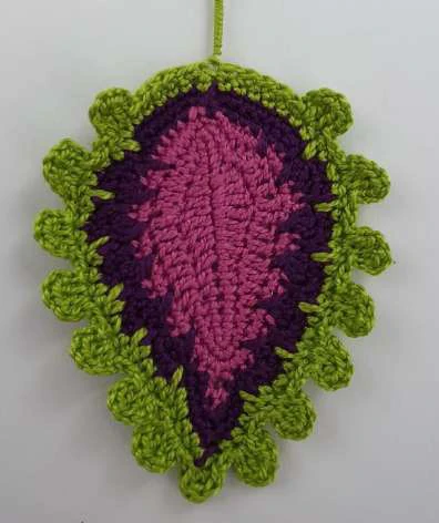 Coleus Plant visual from source page 30