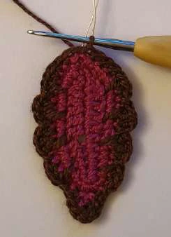 Coleus Plant visual from source page 32