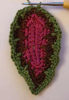 Coleus Plant visual from source page 34