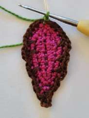 Coleus Plant visual from source page 37