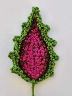 Coleus Plant visual from source page 37