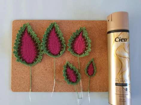 Coleus Plant visual from source page 38