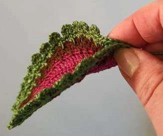 Coleus Plant visual from source page 38