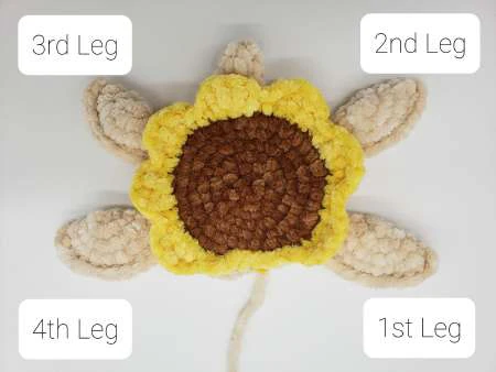 Happy Turtle sunflower visual from source page 7