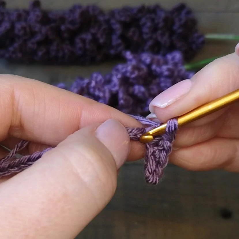 Lavender Plant visual from source page 2
