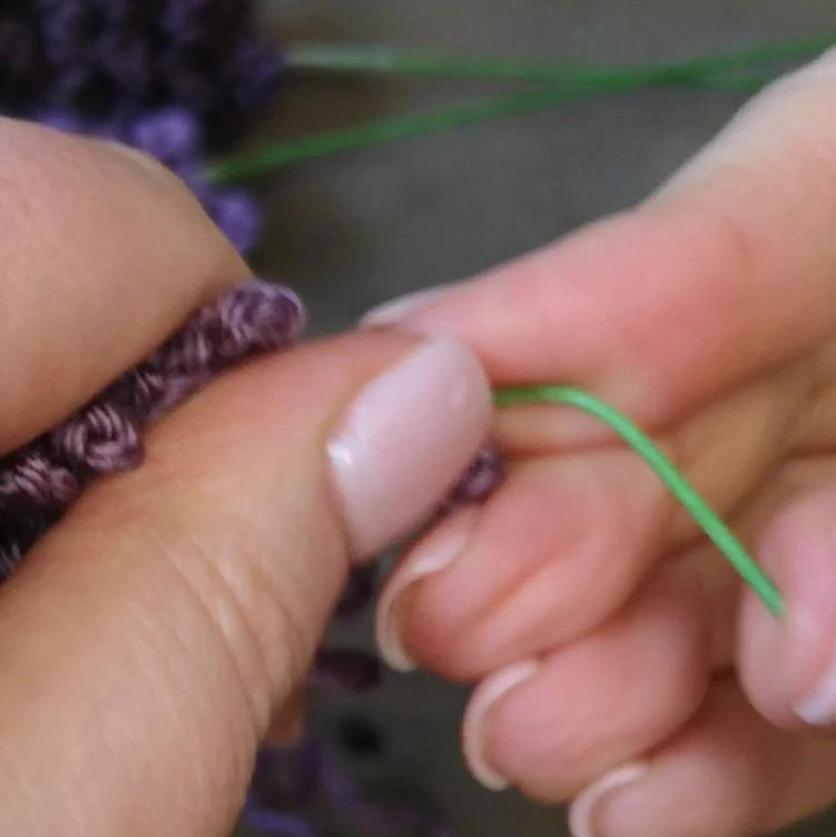 Lavender Plant visual from source page 3