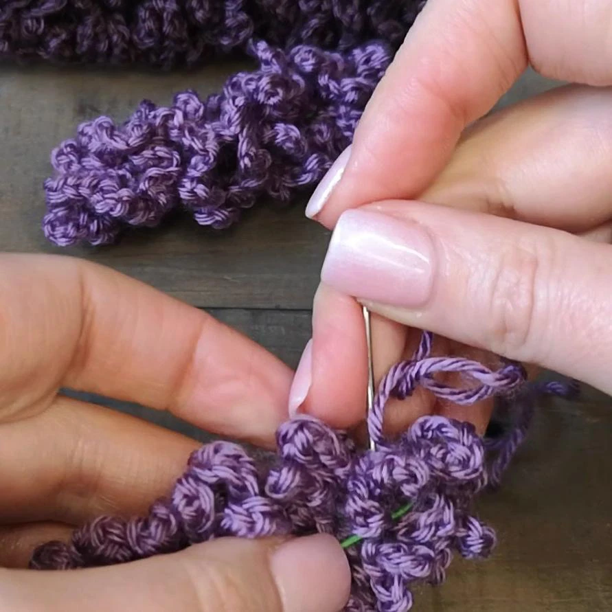 Lavender Plant visual from source page 3