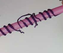 Pekish plant visual from source page 9