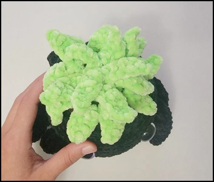 Planter visual from source page 6