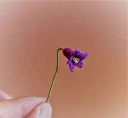 Set of 4 Flower bluebell visual from source page 16