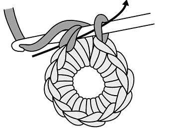 Tulip flower visual from source page 1