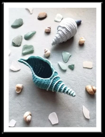 Tulip Shell visual from source page 1