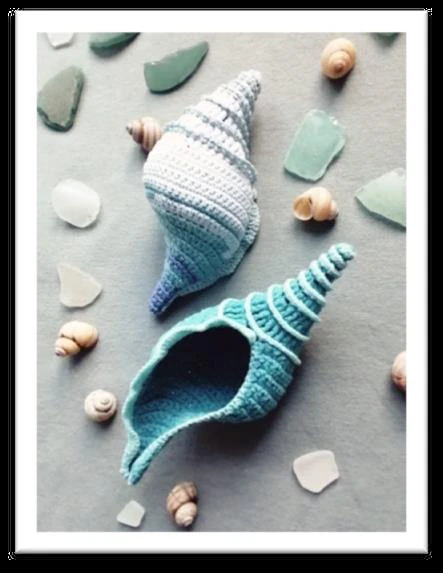 Tulip Shell visual from source page 1