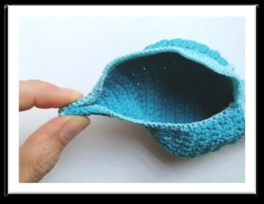 Tulip Shell visual from source page 6